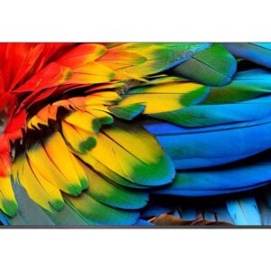 Philips 58HFL6214U Professional MediaSuite - 58" LCD TV - 4K